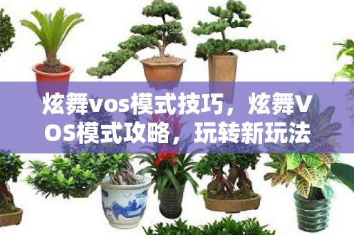 炫舞vos模式技巧，炫舞VOS模式攻略，玩转新玩法！