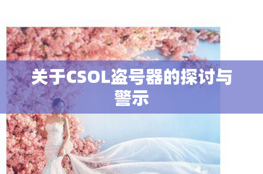 关于CSOL盗号器的探讨与警示 关于CSOL盗号器的探讨与警示