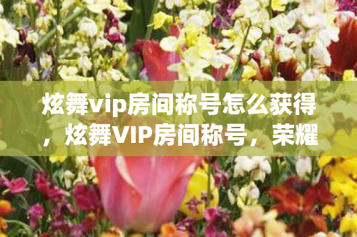 炫舞vip房间称号怎么获得，炫舞VIP房间称号，荣耀与独特的象征