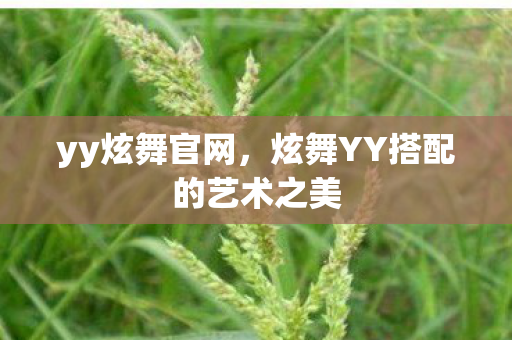 yy炫舞官网，炫舞YY搭配的艺术之美