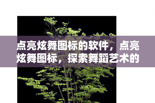 点亮炫舞图标的软件，点亮炫舞图标，探索舞蹈艺术的魅力之旅