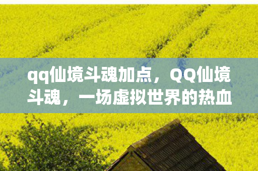 qq仙境斗魂加点，QQ仙境斗魂，一场虚拟世界的热血激战