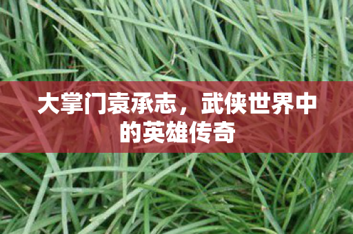 大掌门袁承志,武侠世界中的英雄传奇 大掌门袁承志,武侠世界中的英雄传奇