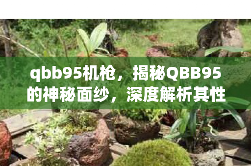 qbb95机枪，揭秘QBB95的神秘面纱，深度解析其性能特点与实际应用