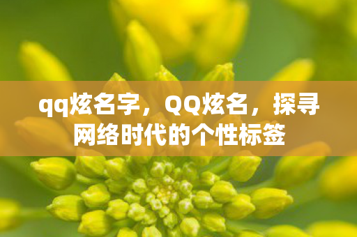 qq炫名字，QQ炫名，探寻网络时代的个性标签