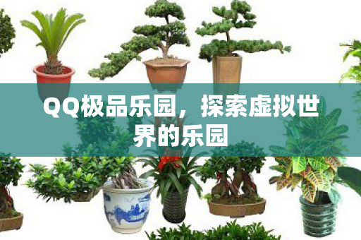 QQ极品乐园，探索虚拟世界的乐园
