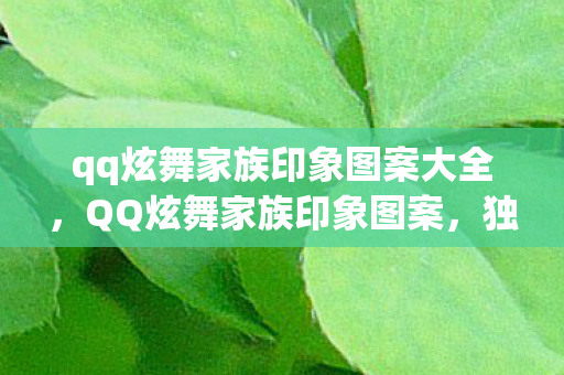 qq炫舞家族印象图案大全，QQ炫舞家族印象图案，独特魅力与游戏文化的交融