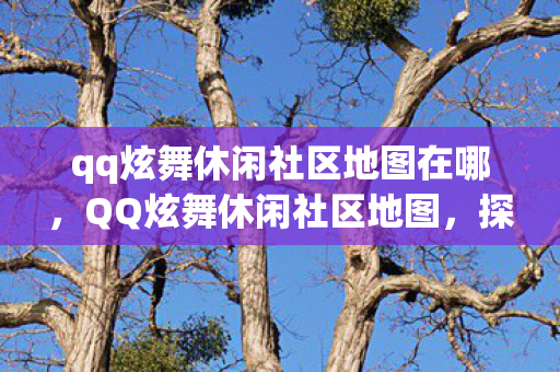 qq炫舞休闲社区地图在哪，QQ炫舞休闲社区地图，探索乐趣无穷的舞蹈世界