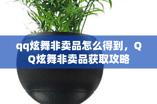 qq炫舞非卖品怎么得到，QQ炫舞非卖品获取攻略