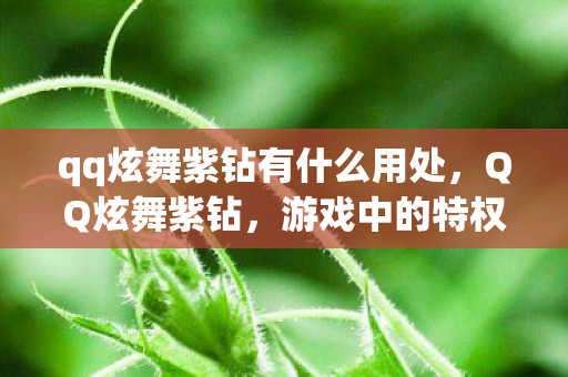 qq炫舞紫钻有什么用处，QQ炫舞紫钻，游戏中的特权与荣耀