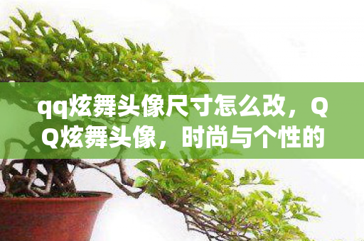 qq炫舞头像尺寸怎么改，QQ炫舞头像，时尚与个性的完美结合