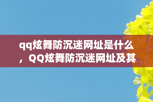 qq炫舞防沉迷网址是什么，QQ炫舞防沉迷网址及其重要性解析