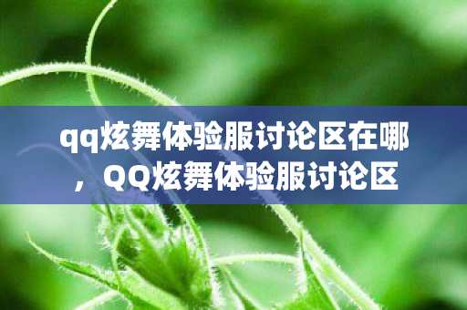 qq炫舞体验服讨论区在哪，QQ炫舞体验服讨论区