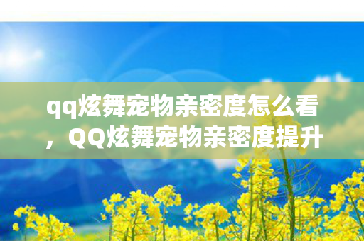 qq炫舞宠物亲密度怎么看，QQ炫舞宠物亲密度提升攻略大揭秘