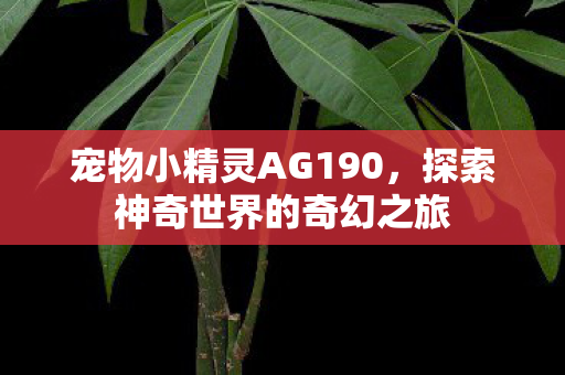 宠物小精灵AG190,探索神奇世界的奇幻之旅 宠物小精灵AG190,探索神奇世界的奇幻之旅