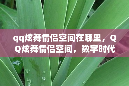 qq炫舞情侣空间在哪里,QQ炫舞情侣空间,数字时代的虚拟浪漫领地 qq炫舞情侣空间在哪里,QQ炫舞情侣空间,数字时代的虚拟浪漫领地