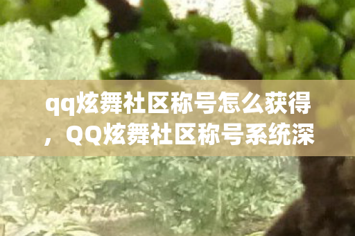 qq炫舞社区称号怎么获得，QQ炫舞社区称号系统深度解析