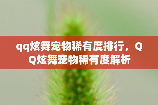 qq炫舞宠物稀有度排行，QQ炫舞宠物稀有度解析