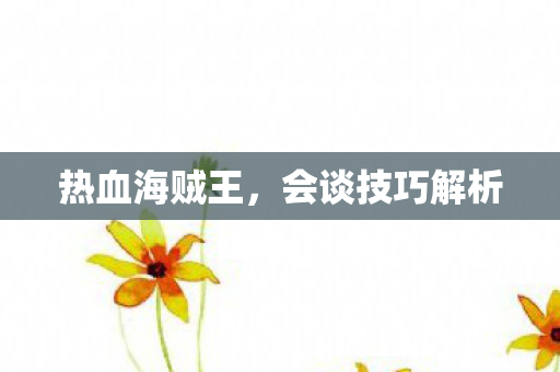 热血海贼王，会谈技巧解析