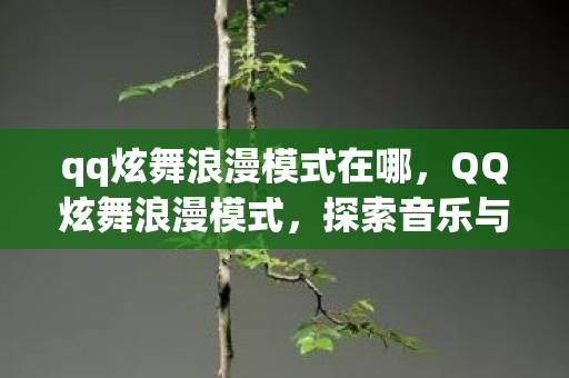 qq炫舞浪漫模式在哪，QQ炫舞浪漫模式，探索音乐与舞蹈的无限魅力