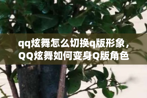 qq炫舞怎么切换q版形象，QQ炫舞如何变身Q版角色？游戏玩家的福音指南