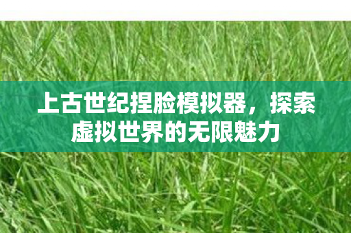 上古世纪捏脸模拟器，探索虚拟世界的无限魅力