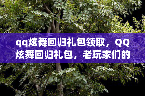 qq炫舞回归礼包领取，QQ炫舞回归礼包，老玩家们的专属福利！