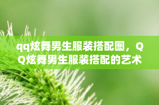 qq炫舞男生服装搭配图，QQ炫舞男生服装搭配的艺术与魅力