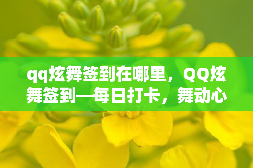 qq炫舞签到在哪里，QQ炫舞签到—每日打卡，舞动心情