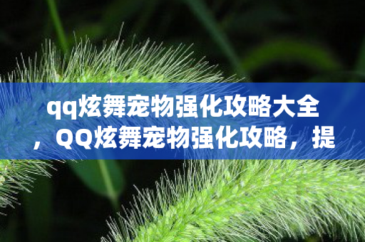 qq炫舞宠物强化攻略大全，QQ炫舞宠物强化攻略，提升宠物实力，轻松游戏畅享舞力全开！