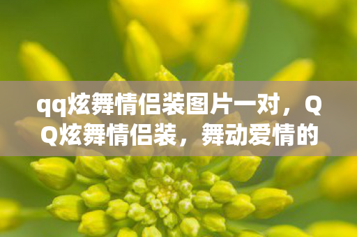 qq炫舞情侣装图片一对，QQ炫舞情侣装，舞动爱情的时尚魅力