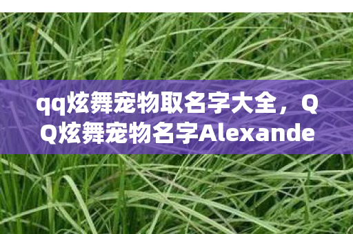 qq炫舞宠物取名字大全，QQ炫舞宠物名字Alexander的独特魅力与故事