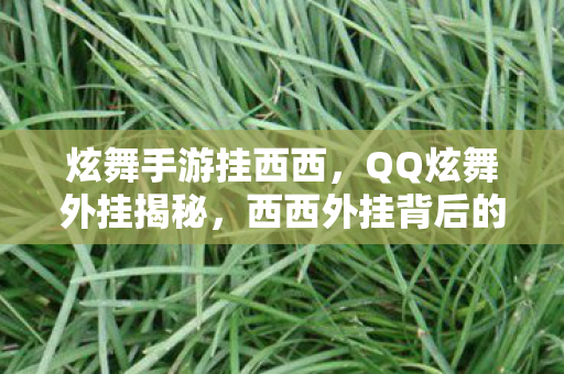 炫舞手游挂西西，QQ炫舞外挂揭秘，西西外挂背后的真相与风险
