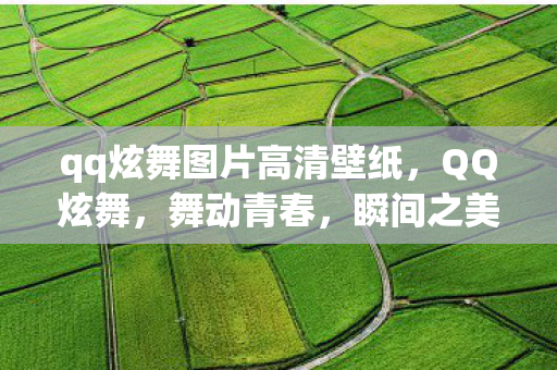 qq炫舞图片高清壁纸，QQ炫舞，舞动青春，瞬间之美