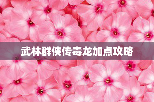 武林群侠传毒龙加点攻略