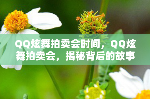 QQ炫舞拍卖会时间，QQ炫舞拍卖会，揭秘背后的故事与魅力所在