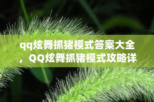 qq炫舞抓猪模式答案大全，QQ炫舞抓猪模式攻略详解