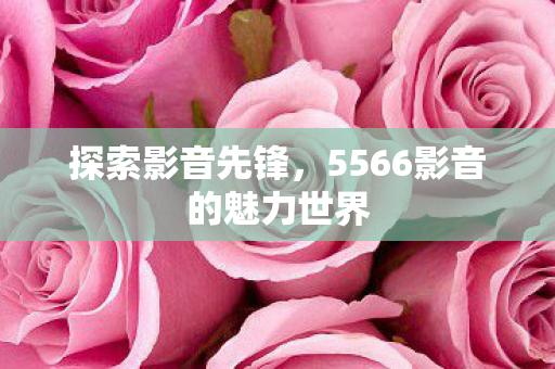 探索影音先锋，5566影音的魅力世界