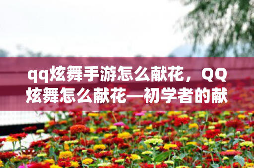 qq炫舞手游怎么献花,QQ炫舞怎么献花—初学者的献花指南 qq炫舞手游怎么献花,QQ炫舞怎么献花—初学者的献花指南