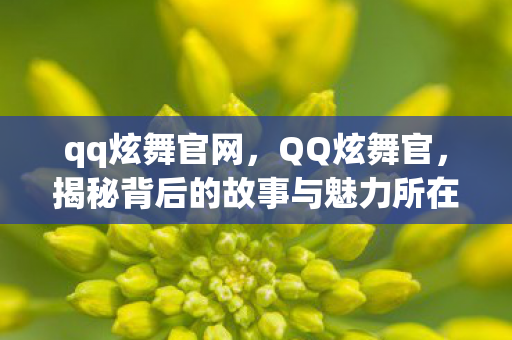 qq炫舞官网，QQ炫舞官，揭秘背后的故事与魅力所在