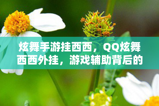 炫舞手游挂西西，QQ炫舞西西外挂，游戏辅助背后的真相与反思