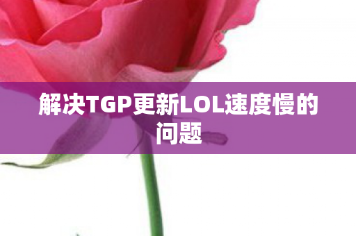 解决TGP更新LOL速度慢的问题