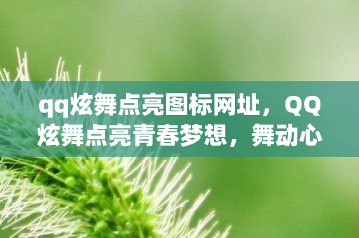 qq炫舞点亮图标网址,QQ炫舞点亮青春梦想,舞动心灵的力量 qq炫舞点亮图标网址,QQ炫舞点亮青春梦想,舞动心灵的力量