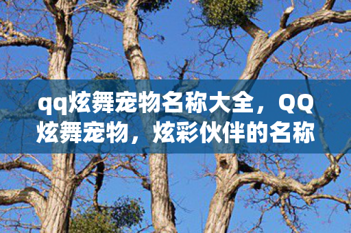 qq炫舞宠物名称大全,QQ炫舞宠物,炫彩伙伴的名称与故事 qq炫舞宠物名称大全,QQ炫舞宠物,炫彩伙伴的名称与故事