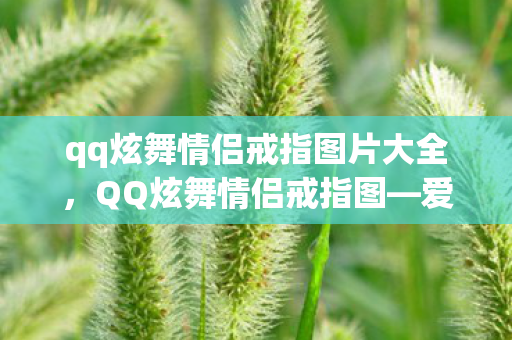 qq炫舞情侣戒指图片大全，QQ炫舞情侣戒指图—爱情的独特印记与甜蜜见证