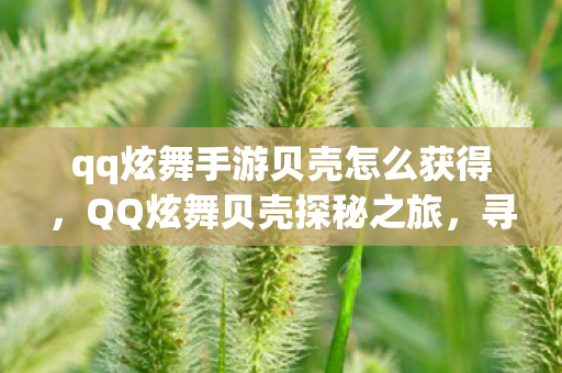 qq炫舞手游贝壳怎么获得，QQ炫舞贝壳探秘之旅，寻找炫舞世界的宝藏之地