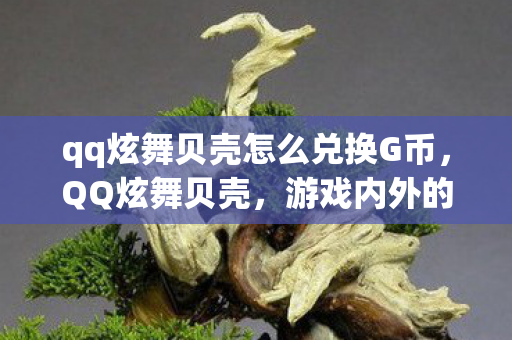 qq炫舞贝壳怎么兑换G币，QQ炫舞贝壳，游戏内外的独特魅力