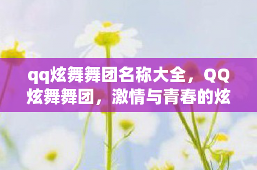 qq炫舞舞团名称大全，QQ炫舞舞团，激情与青春的炫丽舞台