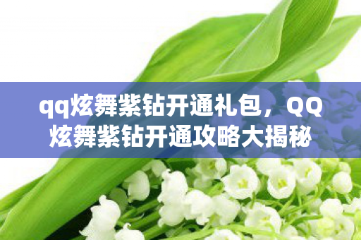 qq炫舞紫钻开通礼包,QQ炫舞紫钻开通攻略大揭秘 qq炫舞紫钻开通礼包,QQ炫舞紫钻开通攻略大揭秘