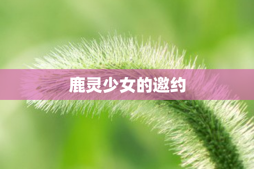 鹿灵少女的邀约 鹿灵少女的邀约